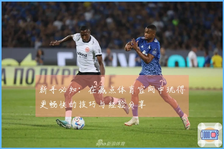 新手必知：在赢点体育官网中玩得更畅快的技巧与经验分享