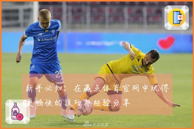 新手必知：在赢点体育官网中玩得更畅快的技巧与经验分享